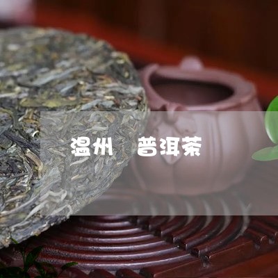 温州 普洱茶/2023042811849